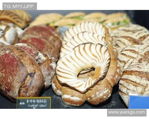 克拉阿米达玛甘与亚夫涅英的精彩对决揭示了两位选手的实力与潜力